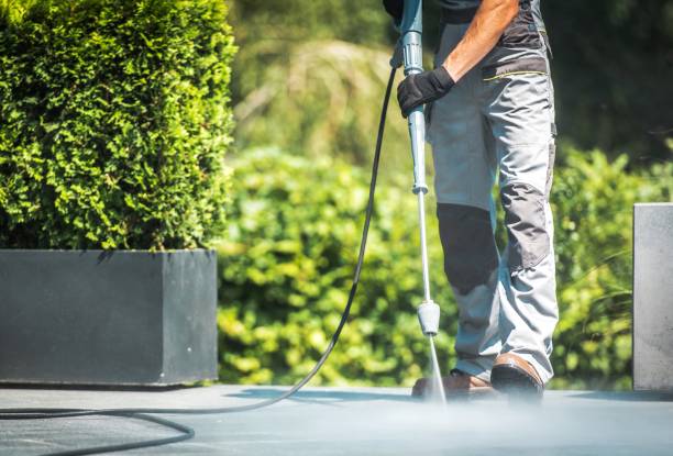 Best Roof Cleaning and Mildew Removal in Harlingen, TX