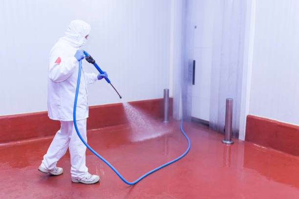 Best Window and Screen Pressure Cleaning in Harlingen, TX