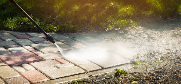 Best Fence Cleaning and Maintenance in Harlingen, TX